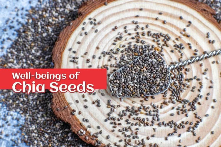 Chia seeds benefits for health and nutrition